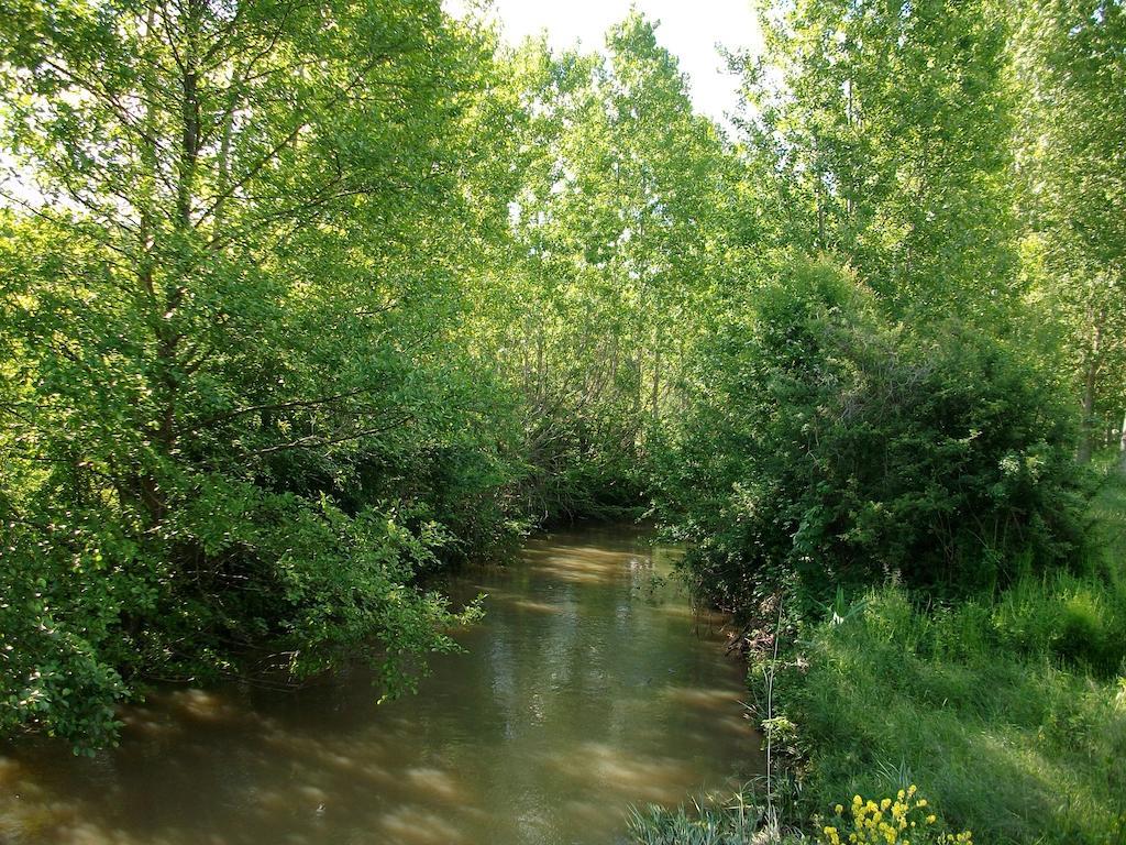 La Cle Des Chants Tauxigny Экстерьер фото